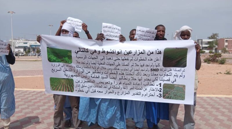 Le désespoir des maraîchers de la périphérie de Nouakchott face à la coupure d’eau